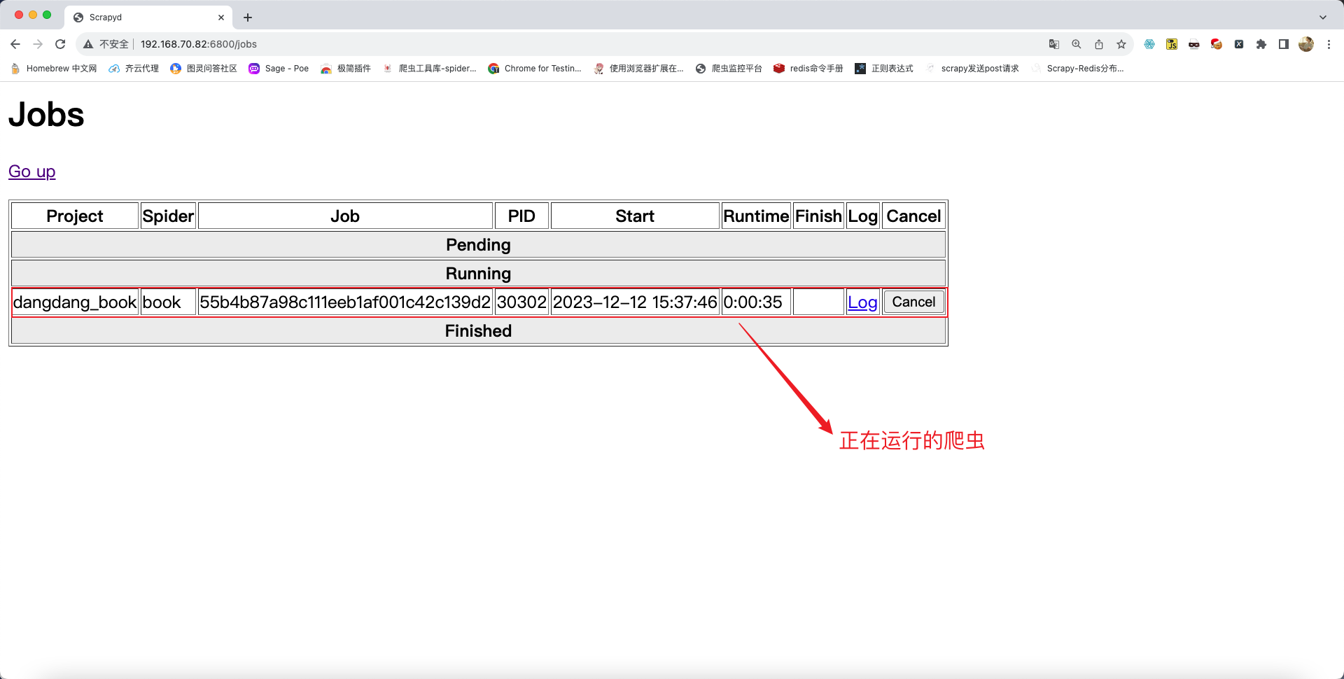 浏览器查看爬虫状态